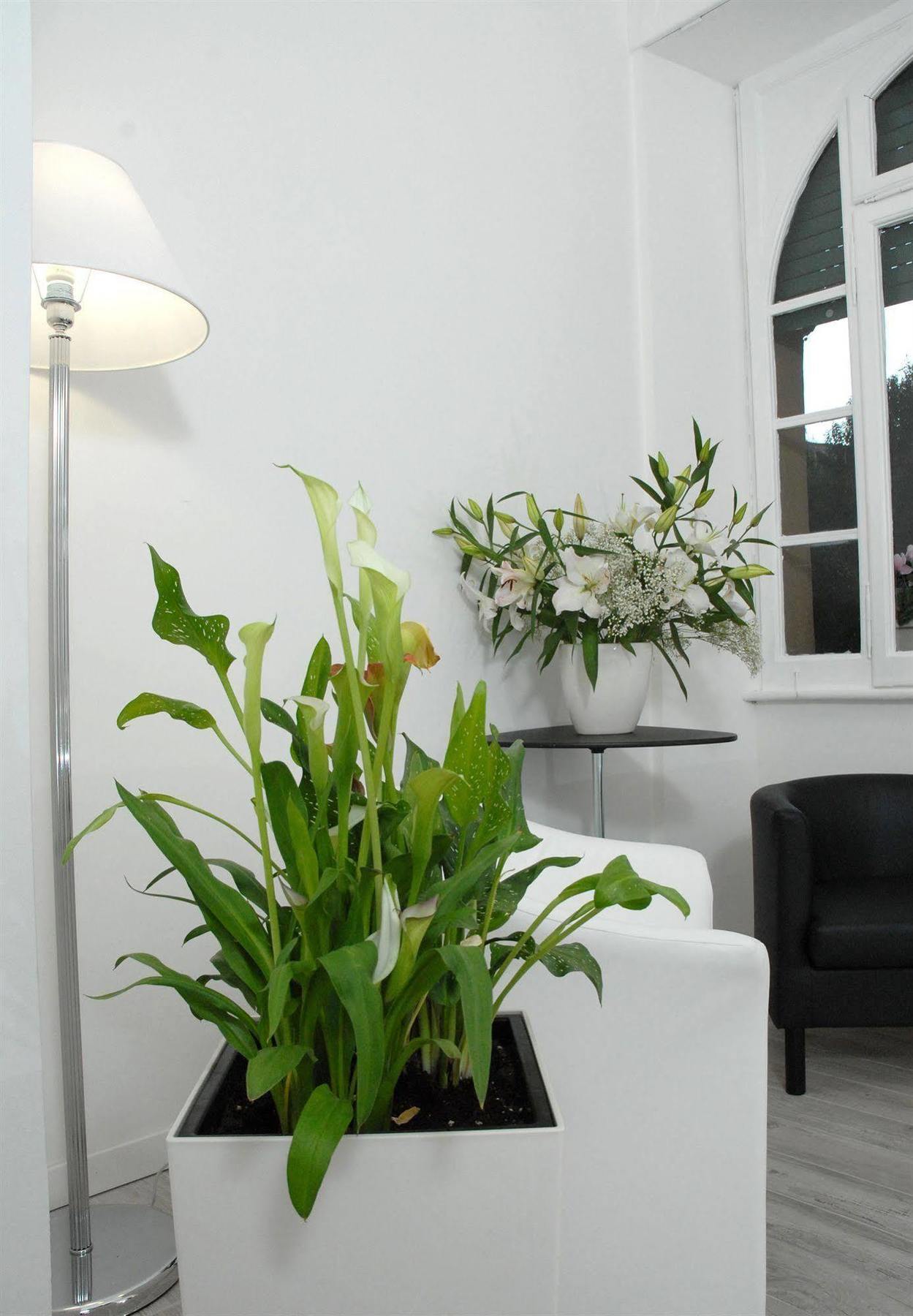 רומא Gardenia Suite מראה חיצוני תמונה