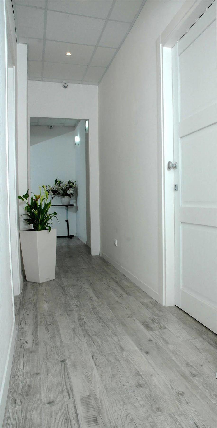 רומא Gardenia Suite מראה חיצוני תמונה